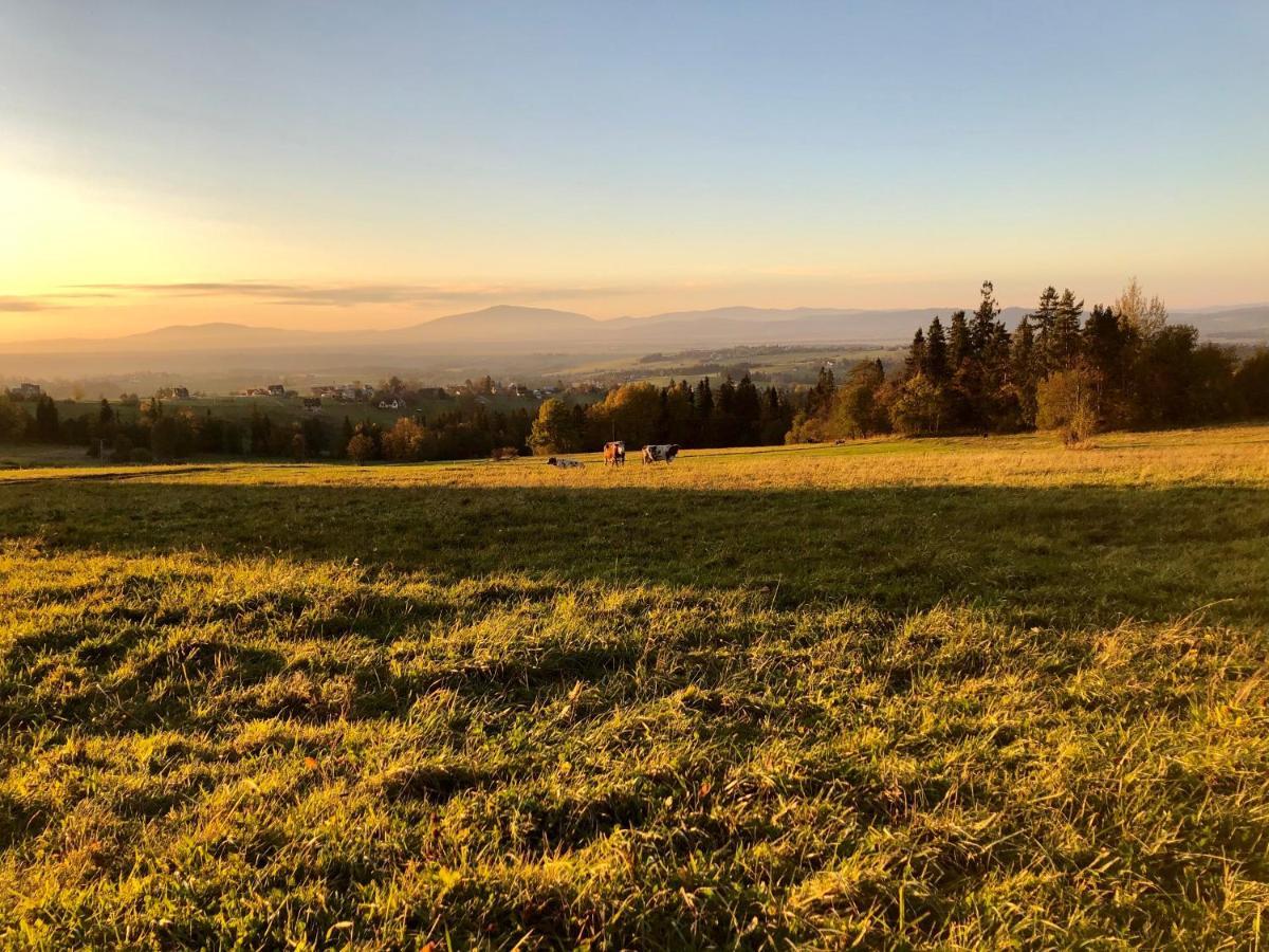 Pokoje Gościnne Góraleczka Szaflary Exterior foto